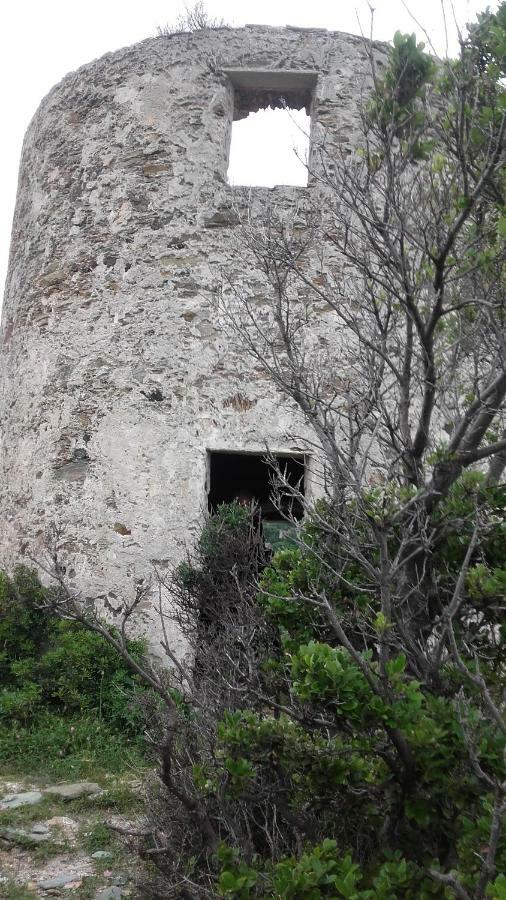 Casa Di Maria Rogliano Exterior foto